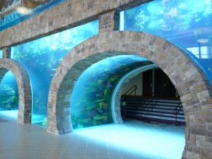 iboc-acquarium